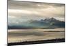 Late Summer in Alaska-Latitude 59 LLP-Mounted Photographic Print