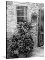 Late Summer in the Tuscan Village of Volpaia, Tuscany, Italy-Richard Duval-Stretched Canvas