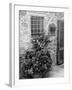 Late Summer in the Tuscan Village of Volpaia, Tuscany, Italy-Richard Duval-Framed Photographic Print