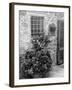 Late Summer in the Tuscan Village of Volpaia, Tuscany, Italy-Richard Duval-Framed Photographic Print