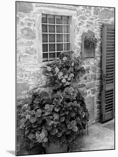 Late Summer in the Tuscan Village of Volpaia, Tuscany, Italy-Richard Duval-Mounted Photographic Print