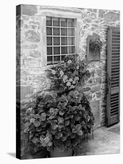 Late Summer in the Tuscan Village of Volpaia, Tuscany, Italy-Richard Duval-Stretched Canvas