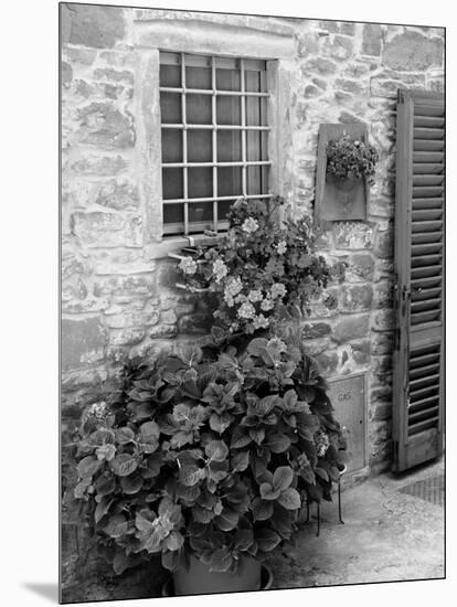 Late Summer in the Tuscan Village of Volpaia, Tuscany, Italy-Richard Duval-Mounted Photographic Print