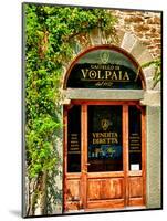 Late Summer in the Tuscan Village of Volpaia, Tuscany, Italy-Richard Duval-Mounted Photographic Print