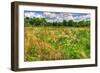 Late Summer Meadow-Robert Goldwitz-Framed Photographic Print