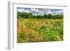 Late Summer Meadow-Robert Goldwitz-Framed Photographic Print