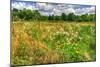 Late Summer Meadow-Robert Goldwitz-Mounted Photographic Print