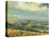 Late Summer on the Downs at Poynings, 1995-Margaret Hartnett-Stretched Canvas