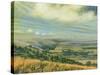 Late Summer on the Downs at Poynings, 1995-Margaret Hartnett-Stretched Canvas