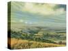 Late Summer on the Downs at Poynings, 1995-Margaret Hartnett-Stretched Canvas