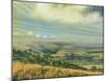 Late Summer on the Downs at Poynings, 1995-Margaret Hartnett-Mounted Giclee Print