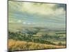Late Summer on the Downs at Poynings, 1995-Margaret Hartnett-Mounted Giclee Print