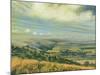 Late Summer on the Downs at Poynings, 1995-Margaret Hartnett-Mounted Giclee Print