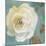 Late Summer Roses-Lanie Loreth-Mounted Art Print