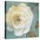 Late Summer Roses-Lanie Loreth-Stretched Canvas