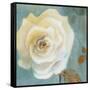 Late Summer Roses-Lanie Loreth-Framed Stretched Canvas