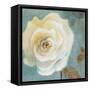 Late Summer Roses-Lanie Loreth-Framed Stretched Canvas