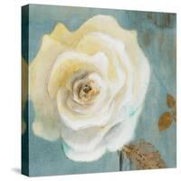 Late Summer Roses-Lanie Loreth-Stretched Canvas