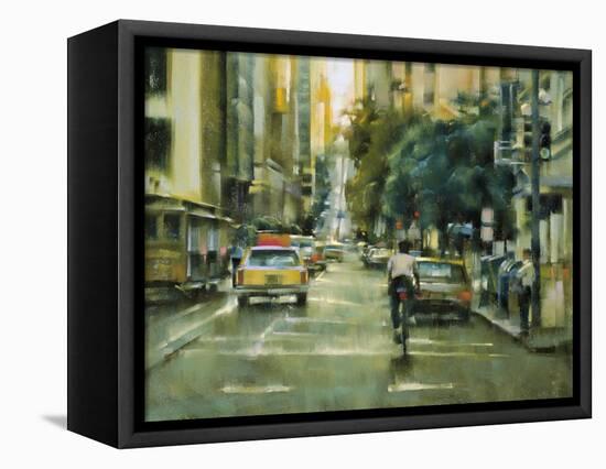 Late Summer, San Francisco-Desmond O'hagan-Framed Stretched Canvas