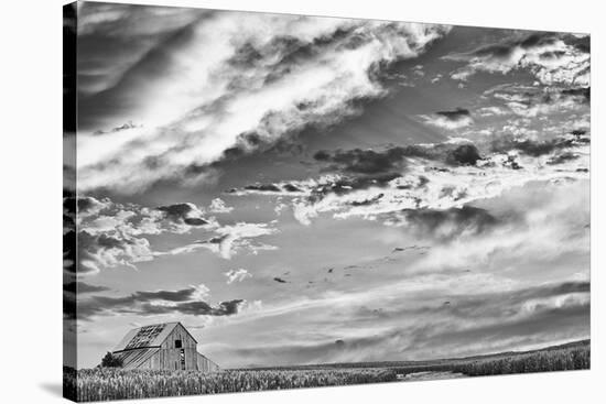 Late Summer Sky-Trent Foltz-Stretched Canvas