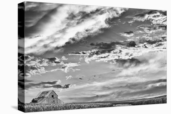 Late Summer Sky-Trent Foltz-Stretched Canvas