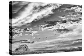 Late Summer Sky-Trent Foltz-Stretched Canvas