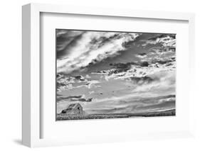 Late Summer Sky-Trent Foltz-Framed Art Print