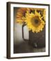 Late Summer Sun-Elizabeth Kay-Framed Giclee Print