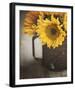 Late Summer Sun-Elizabeth Kay-Framed Giclee Print