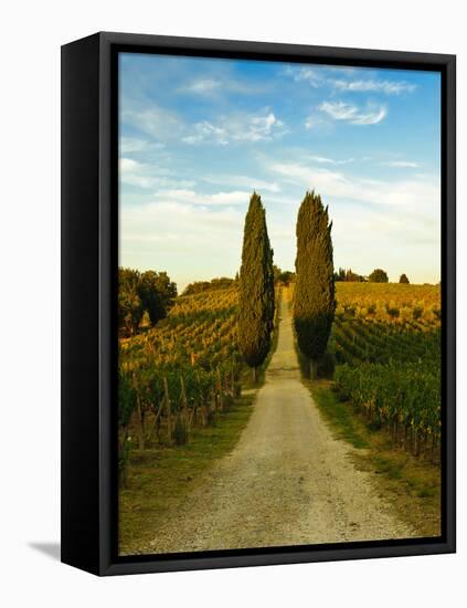 Late Summer Wine Scene in the Hills of Panzano, Tuscany, Italy-Richard Duval-Framed Stretched Canvas