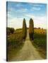 Late Summer Wine Scene in the Hills of Panzano, Tuscany, Italy-Richard Duval-Stretched Canvas