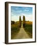 Late Summer Wine Scene in the Hills of Panzano, Tuscany, Italy-Richard Duval-Framed Photographic Print