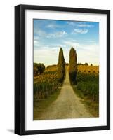 Late Summer Wine Scene in the Hills of Panzano, Tuscany, Italy-Richard Duval-Framed Photographic Print