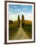 Late Summer Wine Scene in the Hills of Panzano, Tuscany, Italy-Richard Duval-Framed Photographic Print