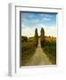 Late Summer Wine Scene in the Hills of Panzano, Tuscany, Italy-Richard Duval-Framed Photographic Print