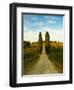 Late Summer Wine Scene in the Hills of Panzano, Tuscany, Italy-Richard Duval-Framed Premium Photographic Print