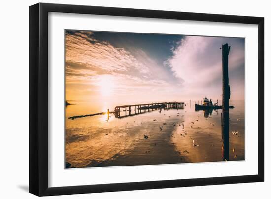 Late Sun, Birds and Polaris, San Pablo Bay-null-Framed Photographic Print