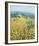 Late Sunflowers Near Santa Lucia, Tuscany-Hazel Barker-Framed Giclee Print