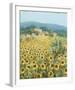 Late Sunflowers Near Santa Lucia, Tuscany-Hazel Barker-Framed Giclee Print