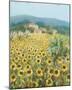 Late Sunflowers Near Santa Lucia, Tuscany-Hazel Barker-Mounted Giclee Print