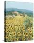 Late Sunflowers Near Santa Lucia, Tuscany-Hazel Barker-Stretched Canvas