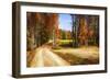 Late Virginia Autumn-Alan Hausenflock-Framed Photographic Print