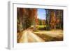 Late Virginia Autumn-Alan Hausenflock-Framed Photographic Print