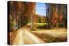 Late Virginia Autumn-Alan Hausenflock-Stretched Canvas