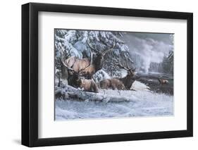 Late Winter Gathering-Kevin Daniel-Framed Art Print