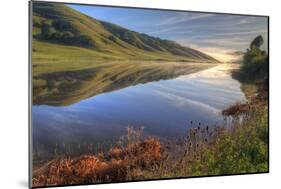 Late Winter Hills and Reflection, Northern California-Vincent James-Mounted Photographic Print