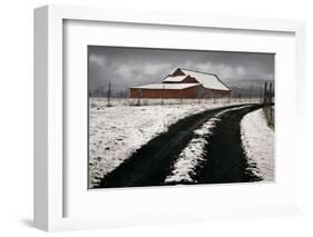 Late Winter Morning-David Winston-Framed Giclee Print