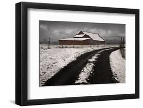 Late Winter Morning-David Lorenz Winston-Framed Art Print