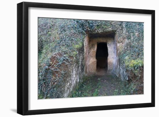 Lateral Cell on Cima Grave, Marturanum Regional Park, San Giuliano, Barbarano Romano, Lazio, Italy-null-Framed Giclee Print