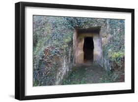 Lateral Cell on Cima Grave, Marturanum Regional Park, San Giuliano, Barbarano Romano, Lazio, Italy-null-Framed Giclee Print